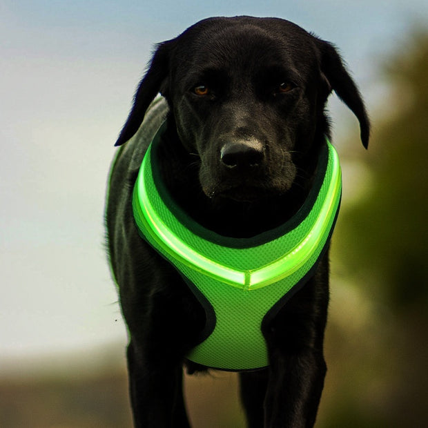 Dog Harness Vest with LED