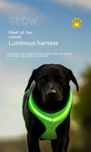 Dog Harness Vest with LED